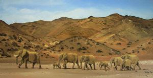 "The Desert Elephants Namibia"