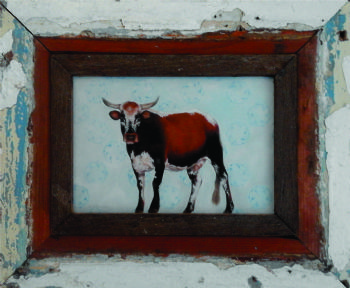 "Nguni"