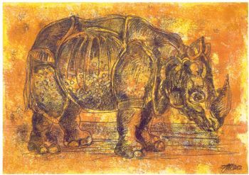 "Rhino After Durer"