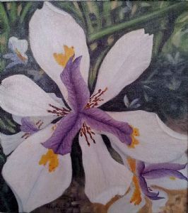 "Kempton Irises"