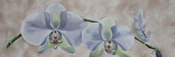 "Purple Orchids"