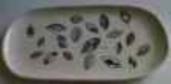 "Platter"