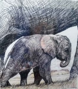 "Elephant Protecton"