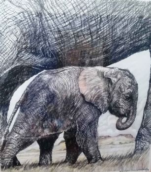 "Elephant Protecton"