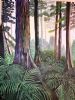 "Outeniqua Forest"