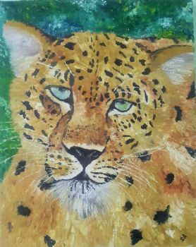 "Leopard"