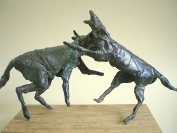 "Wild Dogs Fighting"
