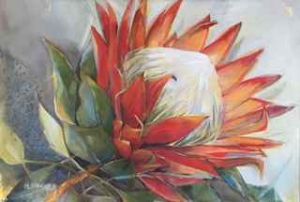 "Protea"