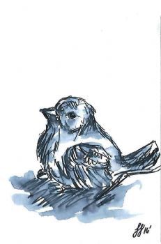 "Careless Dove"