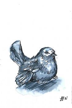 "Dove"