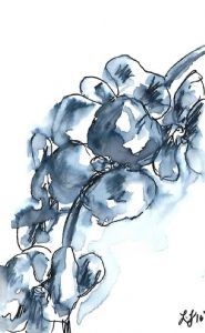 "Hanging Orchid 2"