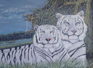 "The Wild Beauty"