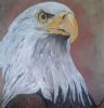 "American Eagle"