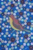 "Sunbird"