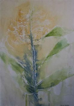"Ginger Plant"
