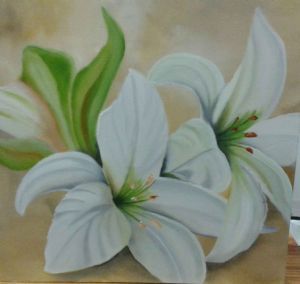 "Lilly's"