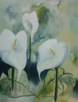 "Arum Lilly's"