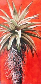 "Sienna Aloe 1"
