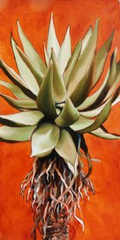 "Sienna Aloe 3"