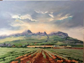 "Vineyards Below the Helderberg"