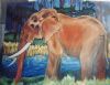 "Elephant 1"