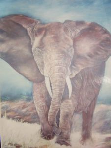 "Elephant 3"