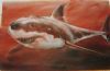 "Great White Shark"