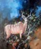 "Young Kudu Bull"