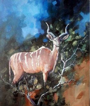 "Young Kudu Bull"