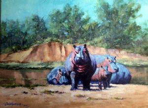 "Hippos"