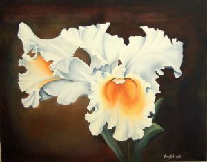 "Cattlya Orchid"