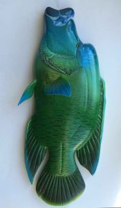 "Napoleon Wrasse"