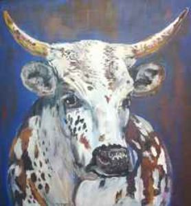 "Nguni 1"