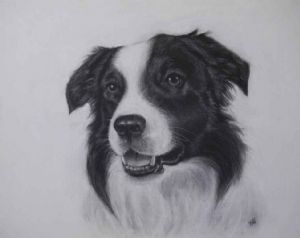 "Shep"