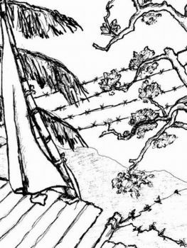 "Barbed Wire Over Dharamsala"
