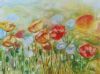 "Happy Poppies"