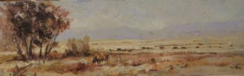 "Cattle in the Veld"