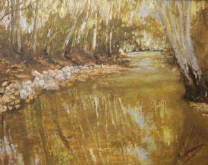 "Reflections"