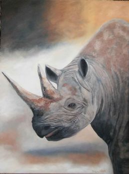 "African Rhino"
