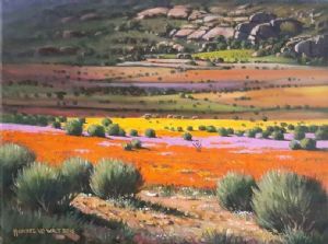 "Namaqua Landscape in Full Bloom"