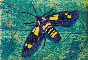 "Hornet Moth"