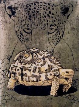"Leopard tortoise"