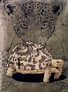 "Leopard tortoise"