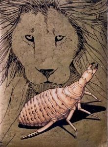"Ant Lion"