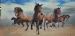 Wild Horses