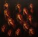 See me in a Different Light (13 faces)