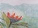 Protea