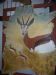 springbok on alert