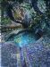 Bird Bath