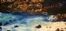 Tropical Waters